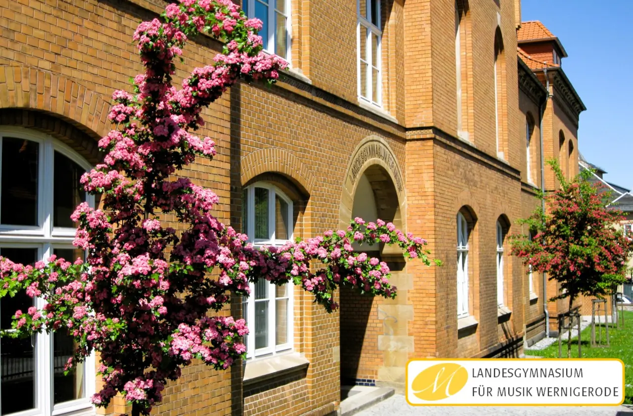 LGM Sommer